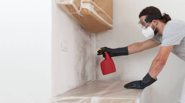 Professional Hvac And Air Duct Mold Remediation technician working in Hudson, IL